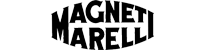 magneti.png