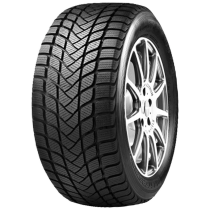 Anvelopa Mastersteel Winter+-6902532372935