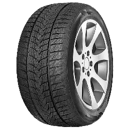 Anvelopa Iarna 255/40R20 101V MINERVA Frostrack Uhp